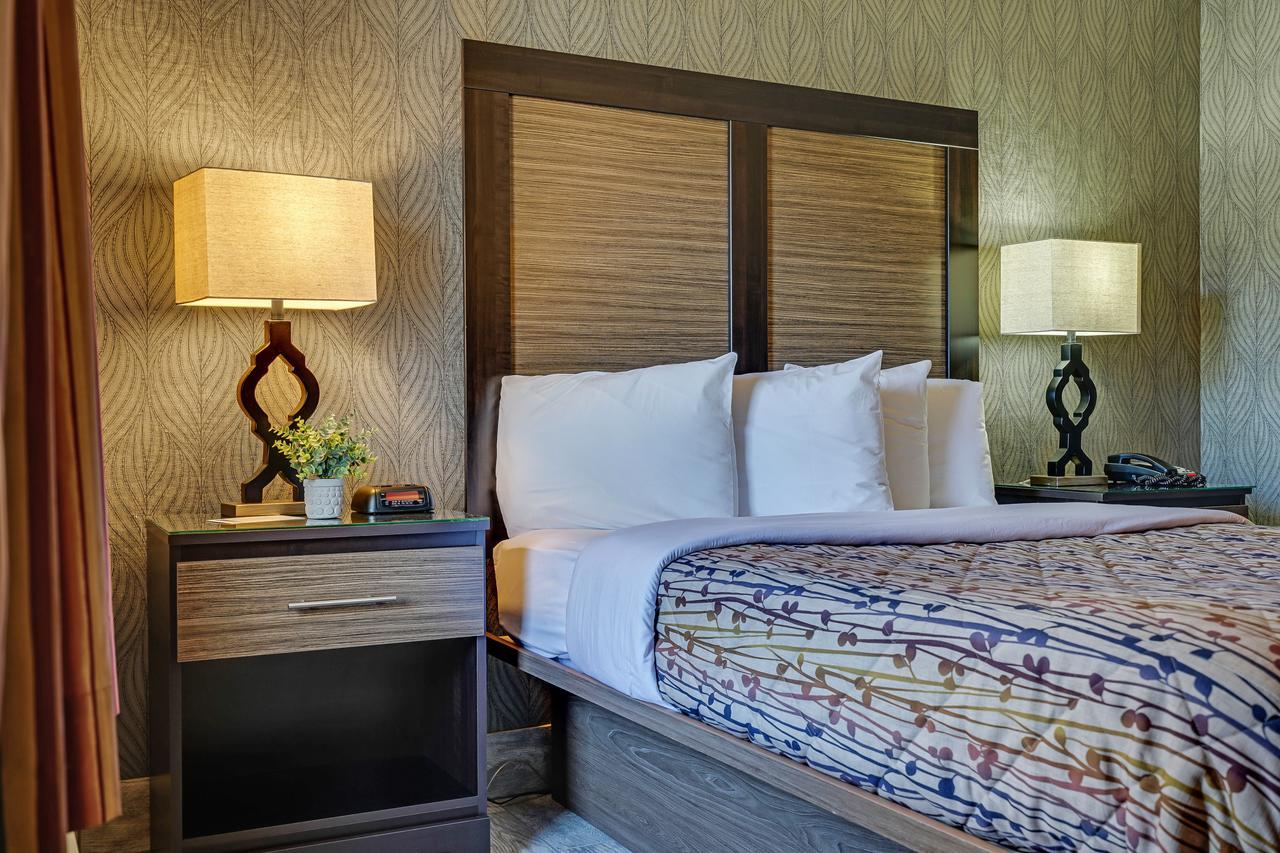 Blue Creek Inn Waretown Екстериор снимка